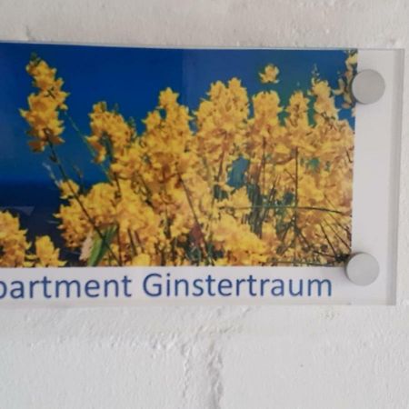 Lüneburg Appartement Ginstertraum מראה חיצוני תמונה